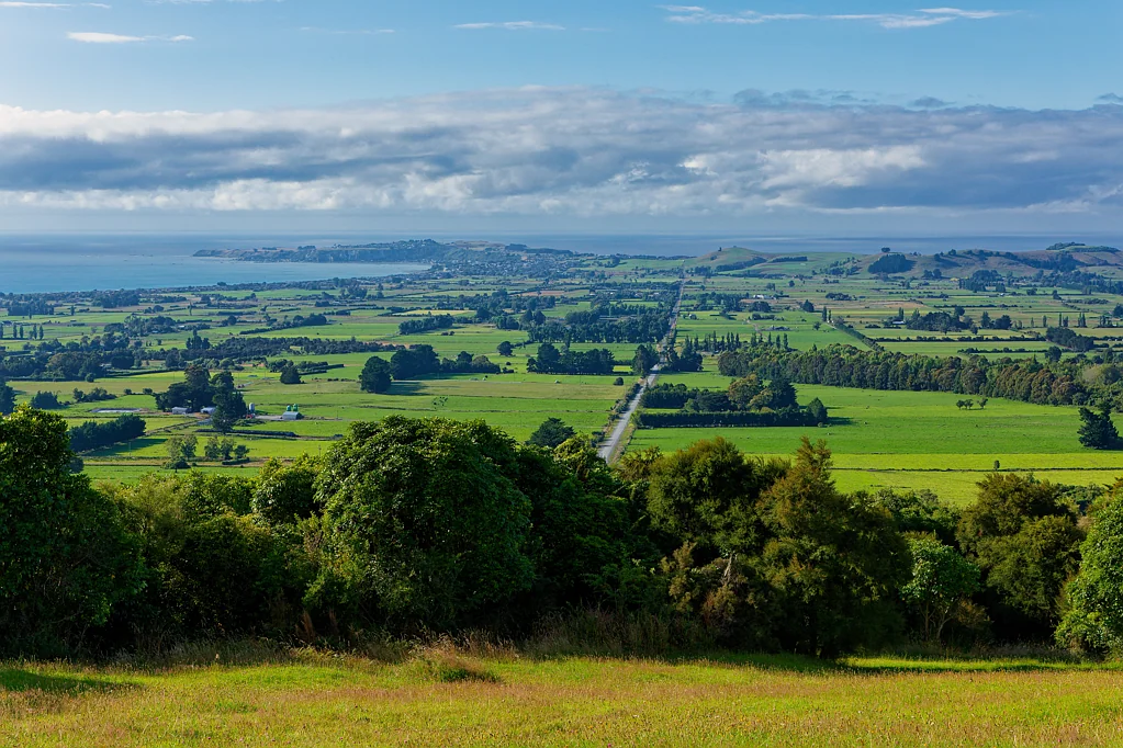 Clarence  Reconnect, Restore, Rewild