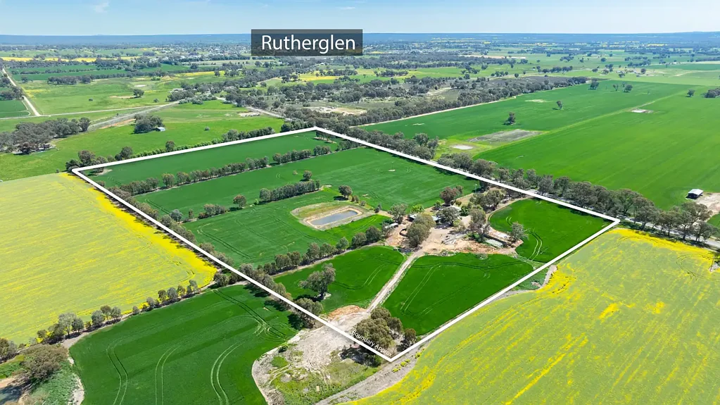 Rutherglen  "Robina" - Equine Heaven in Wine and Cropping Country