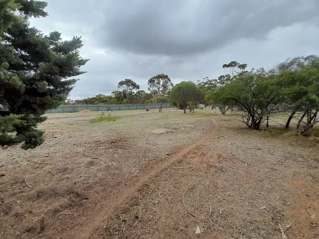 Narrogin  Land of Opportunity in Narrogin!!