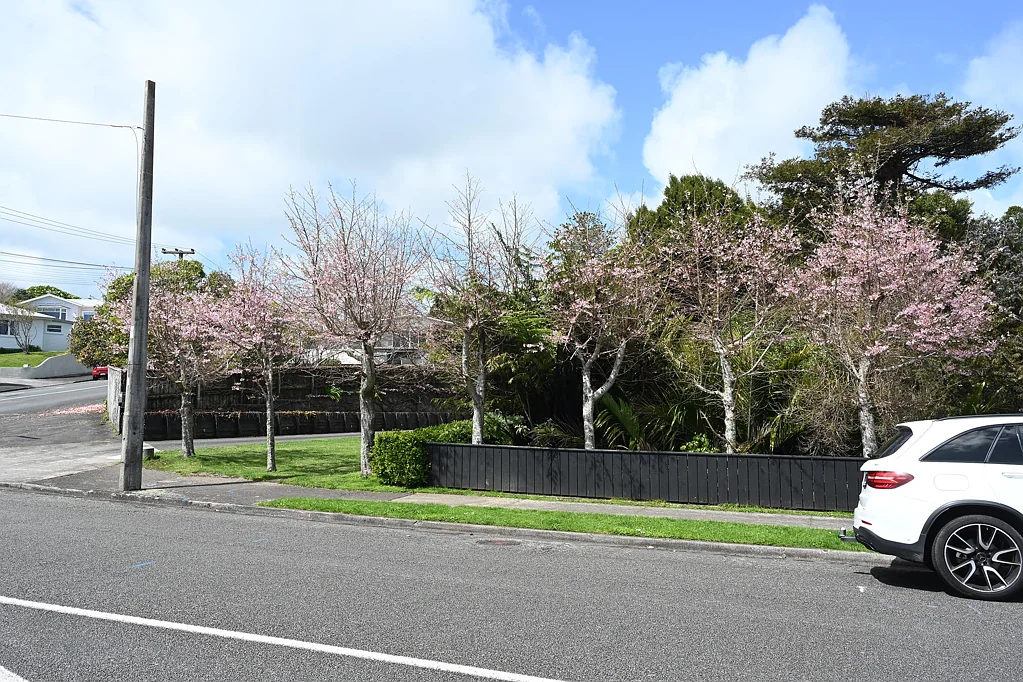 New Plymouth Central City section in dress circle location