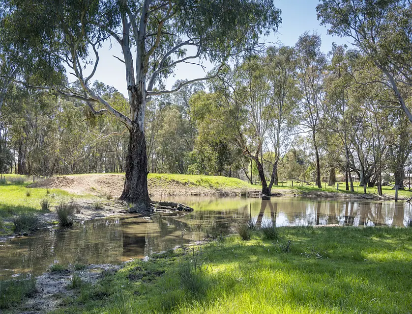 CA32 Baddaginnie-Benalla Road, Benalla, Wangaratta, 0 habitaciones, 0 baños, Lifestyle Property