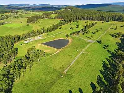 68 Creeleys Road, Sassafras, TAS 7307, 4 Bedrooms, 1 Bathrooms, Lifestyle Property