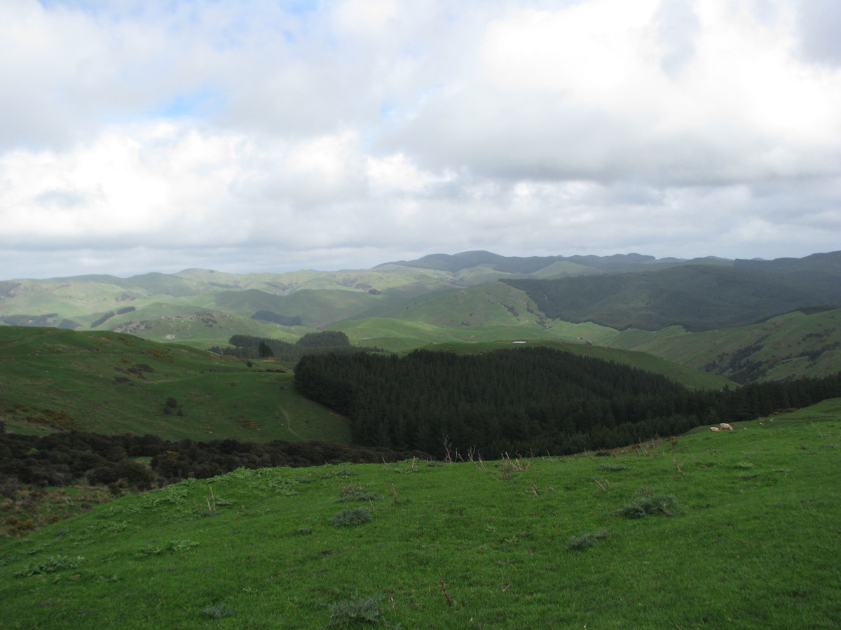 Manawa Road, Tinui, Masterton, 0 Kuwarto, 1 Banyo