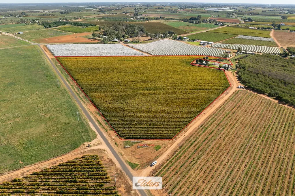 Red Cliffs  Well Developed Wine Grape Holding