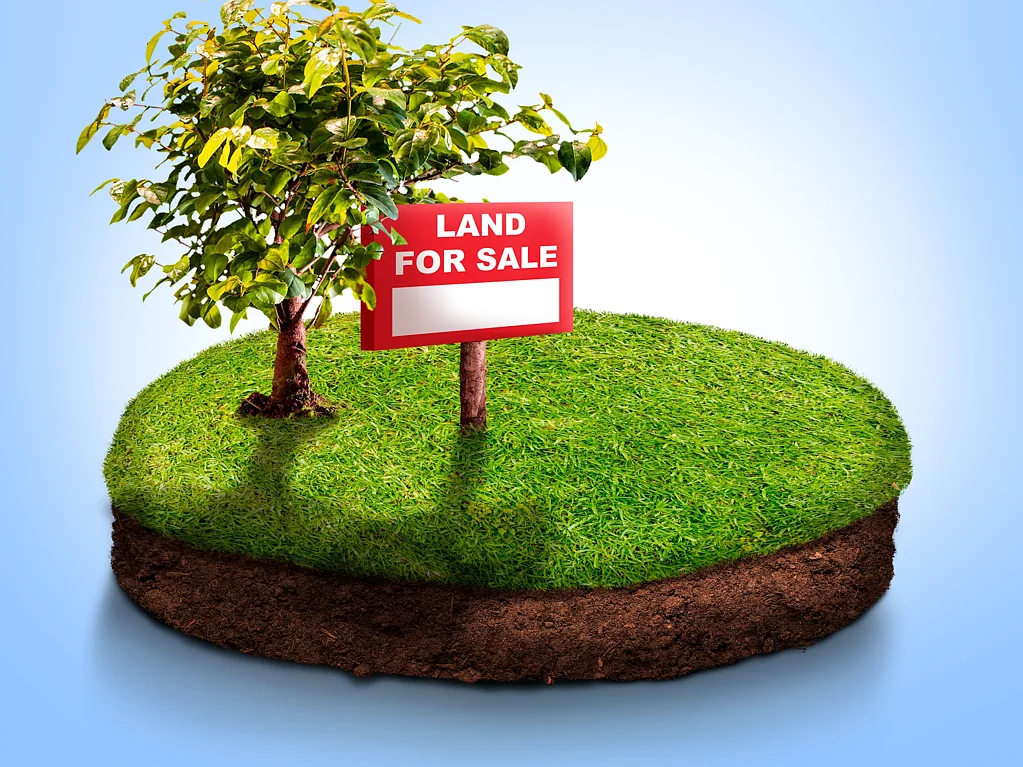 Caversham  Affordable Land