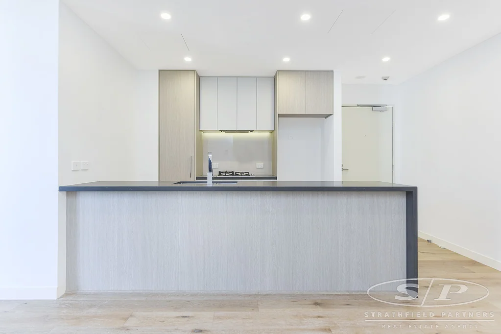 Luxury Apartment