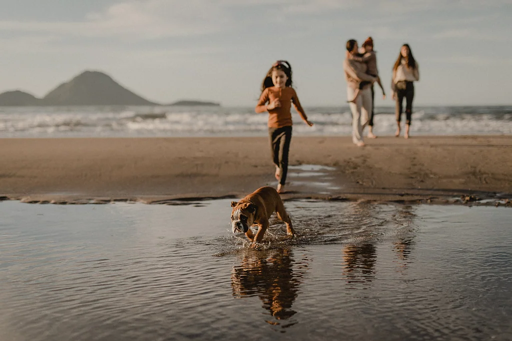Whakatane Beachfront living at its best