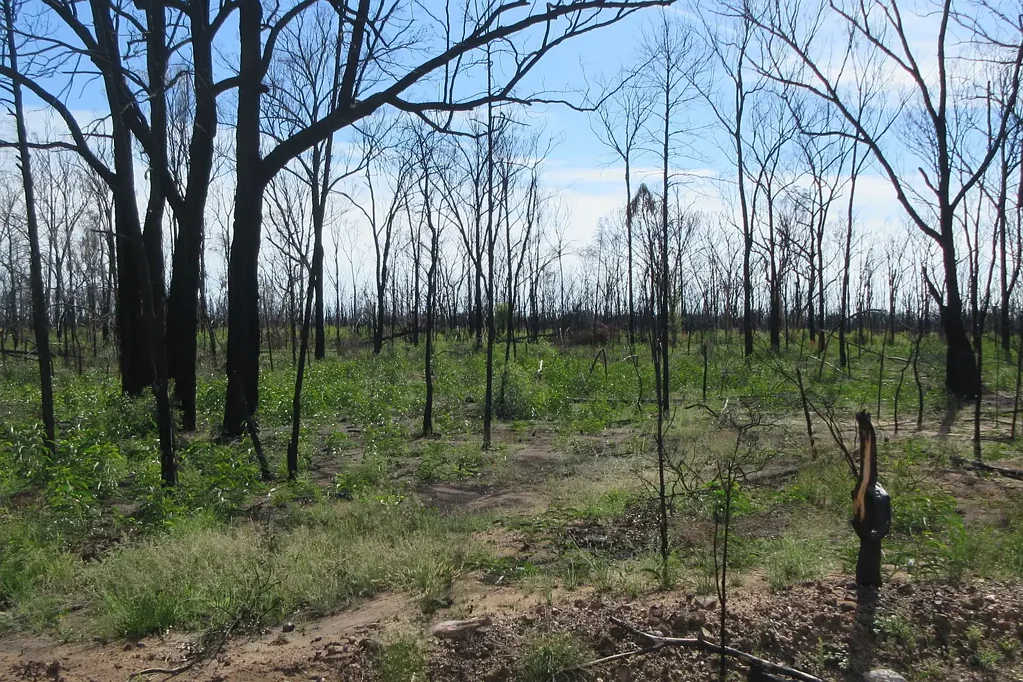 Tara 1203 Acres, YES you read right, 1203 Acres