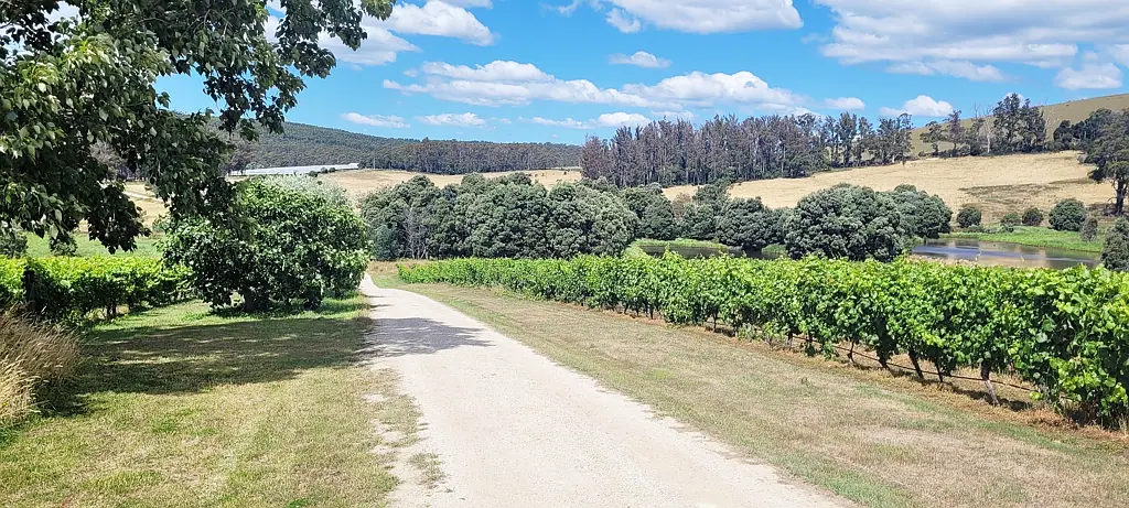 Lebrina  Brook Eden Vineyard - An Established Destination