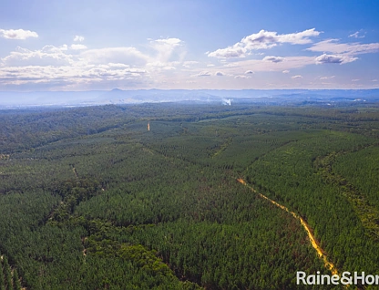 Lot 11 Mawhinney Road, Peachester, Sunshine Coast, 0 રૂમ, 0 બાથરૂમ, Section