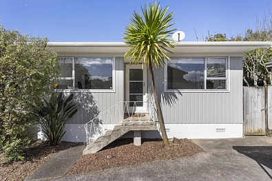New Lynn 1房  Generous One Bedroom Home