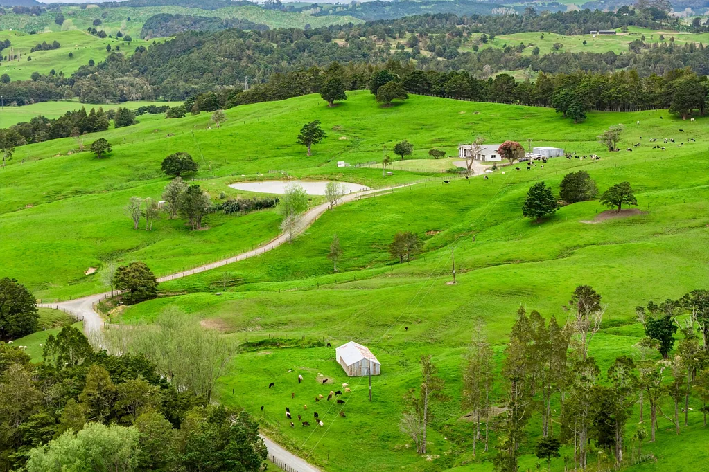 Maungakaramea Premium 117 ha Maungakaramea dry stock block