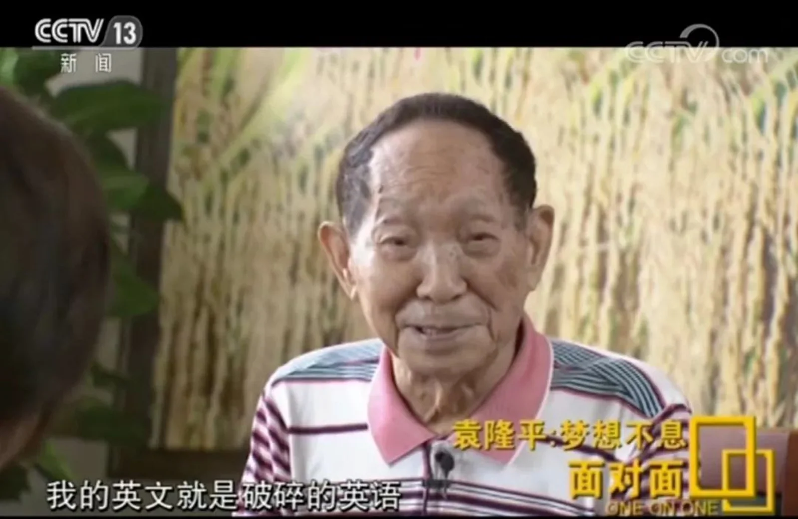 谈梦想谈担忧谈身体！袁隆平接受专访，信息量有如“超级稻”