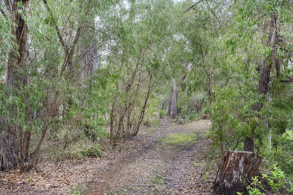 17 Flora Grove, Molloy Island, WA 6290