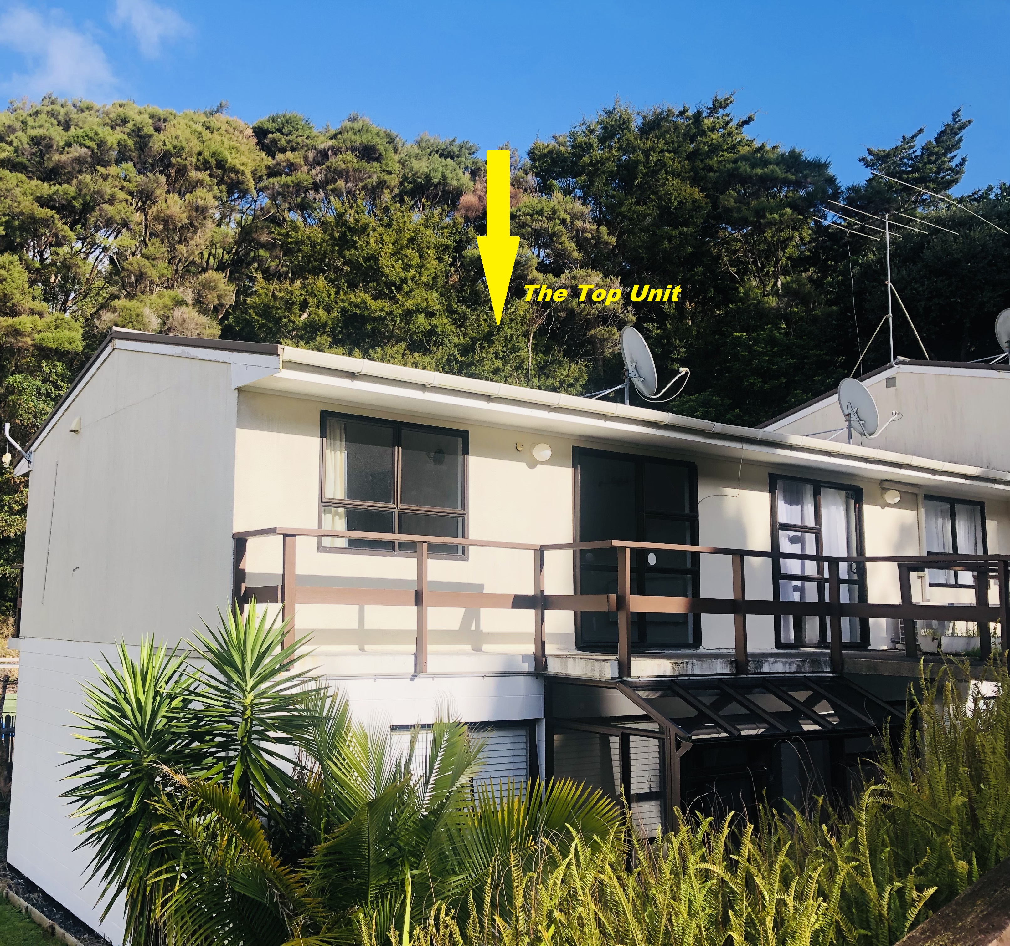 25/75 Williams Road, Paihia, Far North, 1房, 1浴, Unit