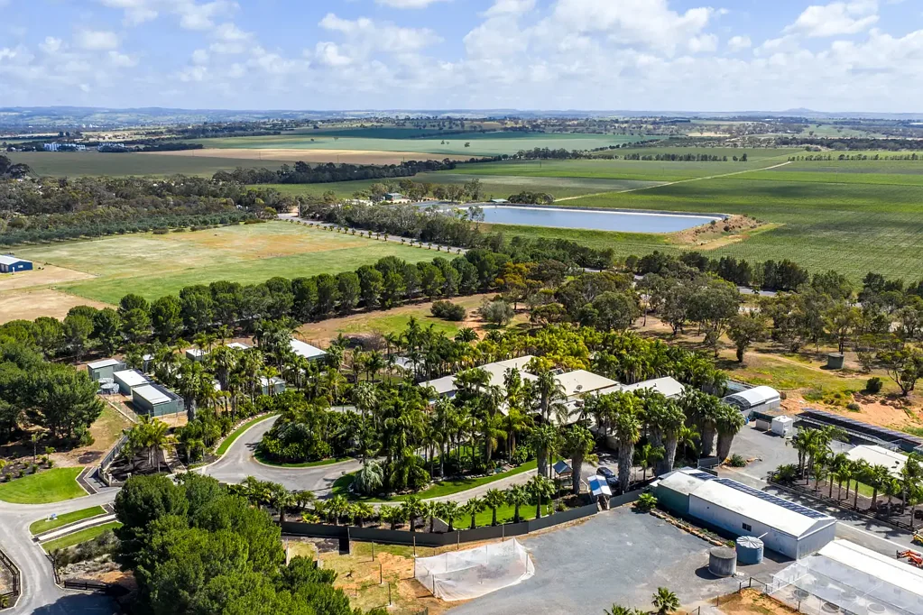 Belvidere 6બેડરૂમ A Langhorne Creek sanctuary where legacy meets lifestyle