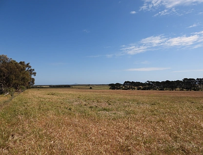 PID 6428956 Thule Road, Whitemark, Launceston and North East, 0 chambres, 0 salles de bain, Lifestyle Property