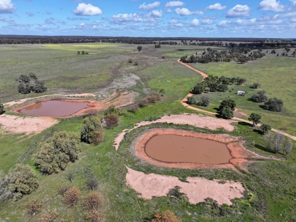West Wyalong Affordable Mixed Farm Close To West Wyalong