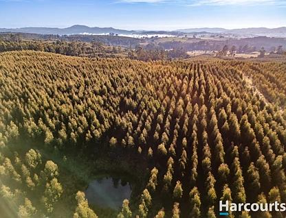 220 Holmes Road, Roland, TAS 7306, 0 Kuwarto, 0 Banyo, Lifestyle Property