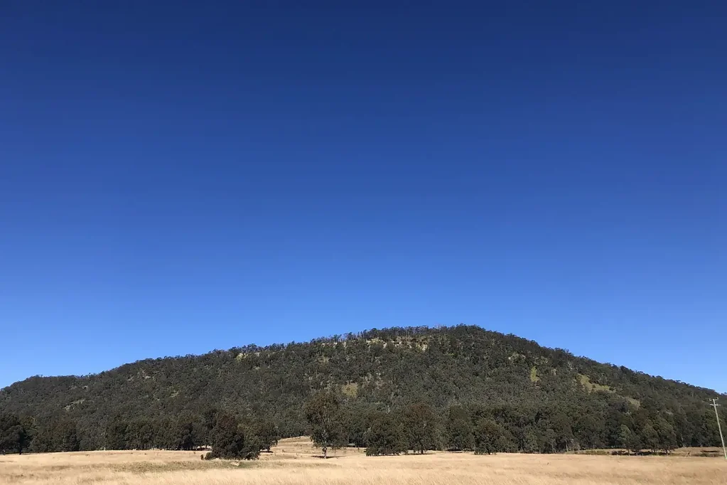 Vacy  Mount Breckin – Million Dollar Koala Mountain