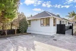 131 Stoddard Road, Mount Roskill