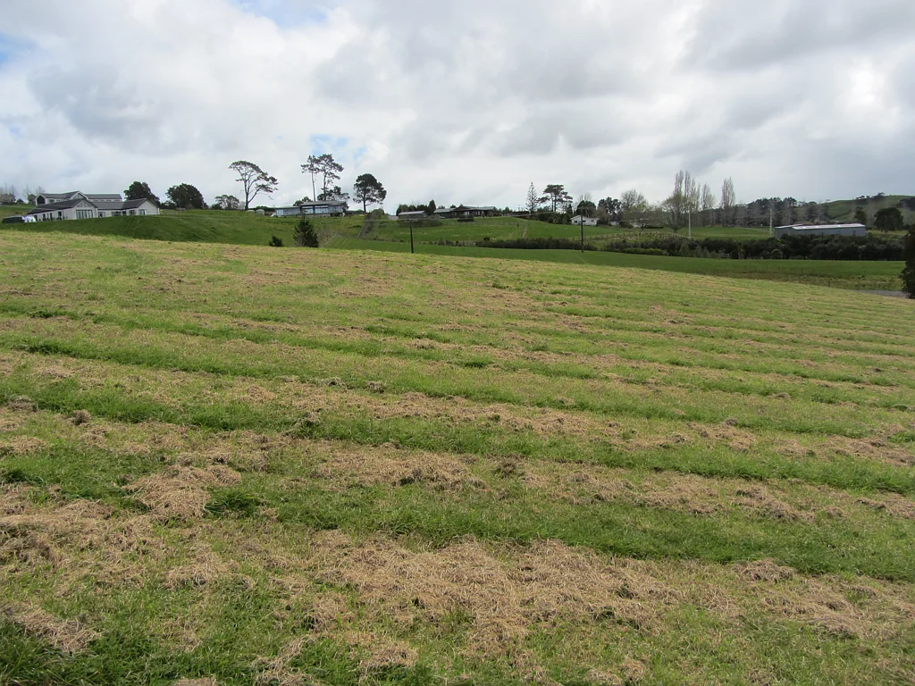 Dairy Flat Last site available - Lot 7: 1.00ha