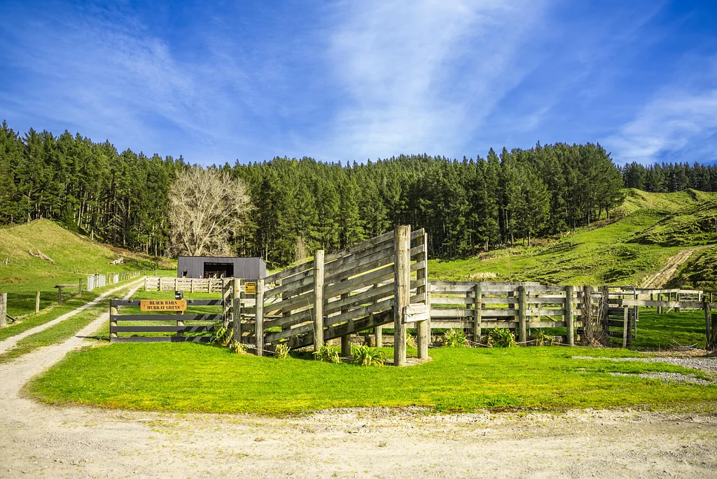 Wairoa Large Lifestyle