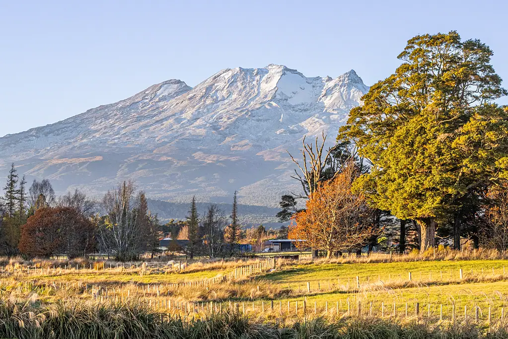Tongariro Lifestyle bliss