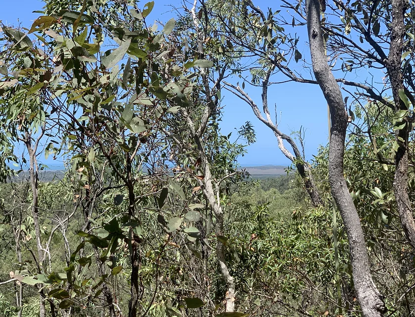 LOT 36 Whitsunday Dr, Bloomsbury, Mackay, 0房, 0浴, Section