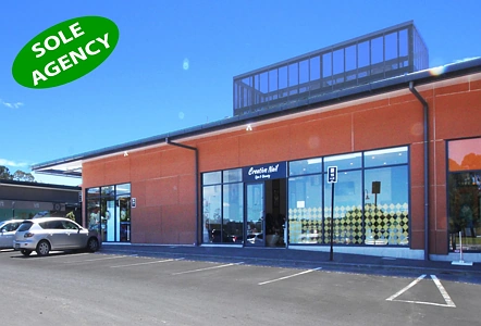 Business  Metropolitan Centre Zone