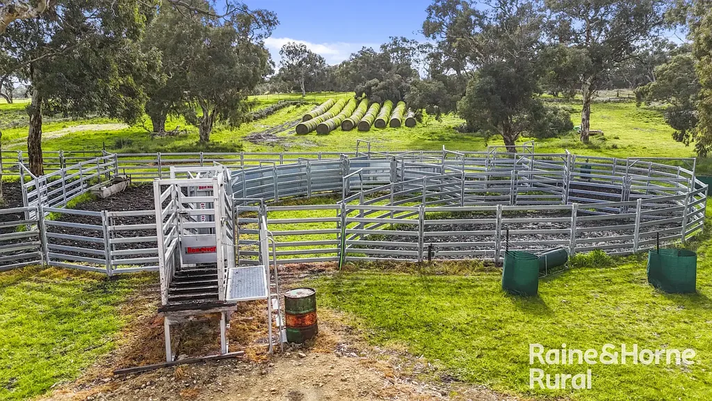 Reedy Creek  231ha (570.80 acres) of Warm, Well-Balanced & Well-Improved Grazing Country