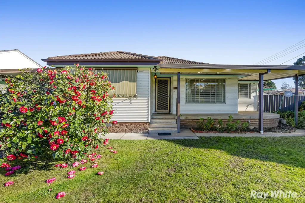 Kooringal 3房  A Fantastic Opportunity