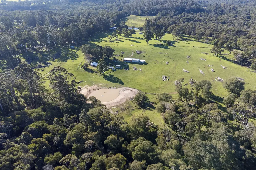 229 Windy Harbour Road (Boorara Brook), Northcliffe, WA 6262