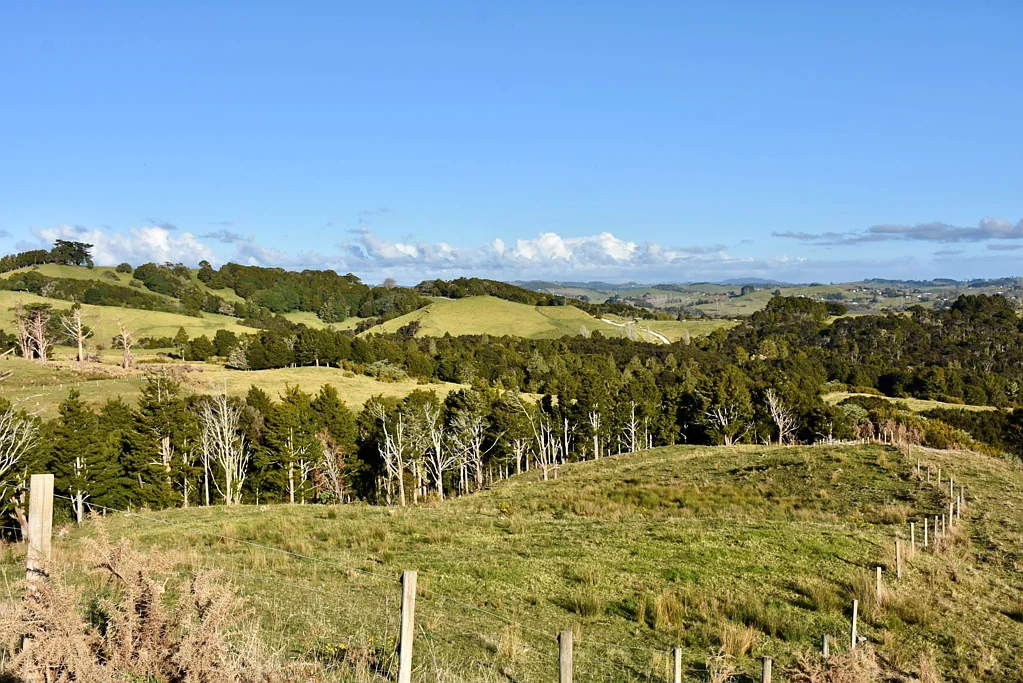 Topuni BUYERS MARKET SPECIAL - PRICE REDUCED FURTHER