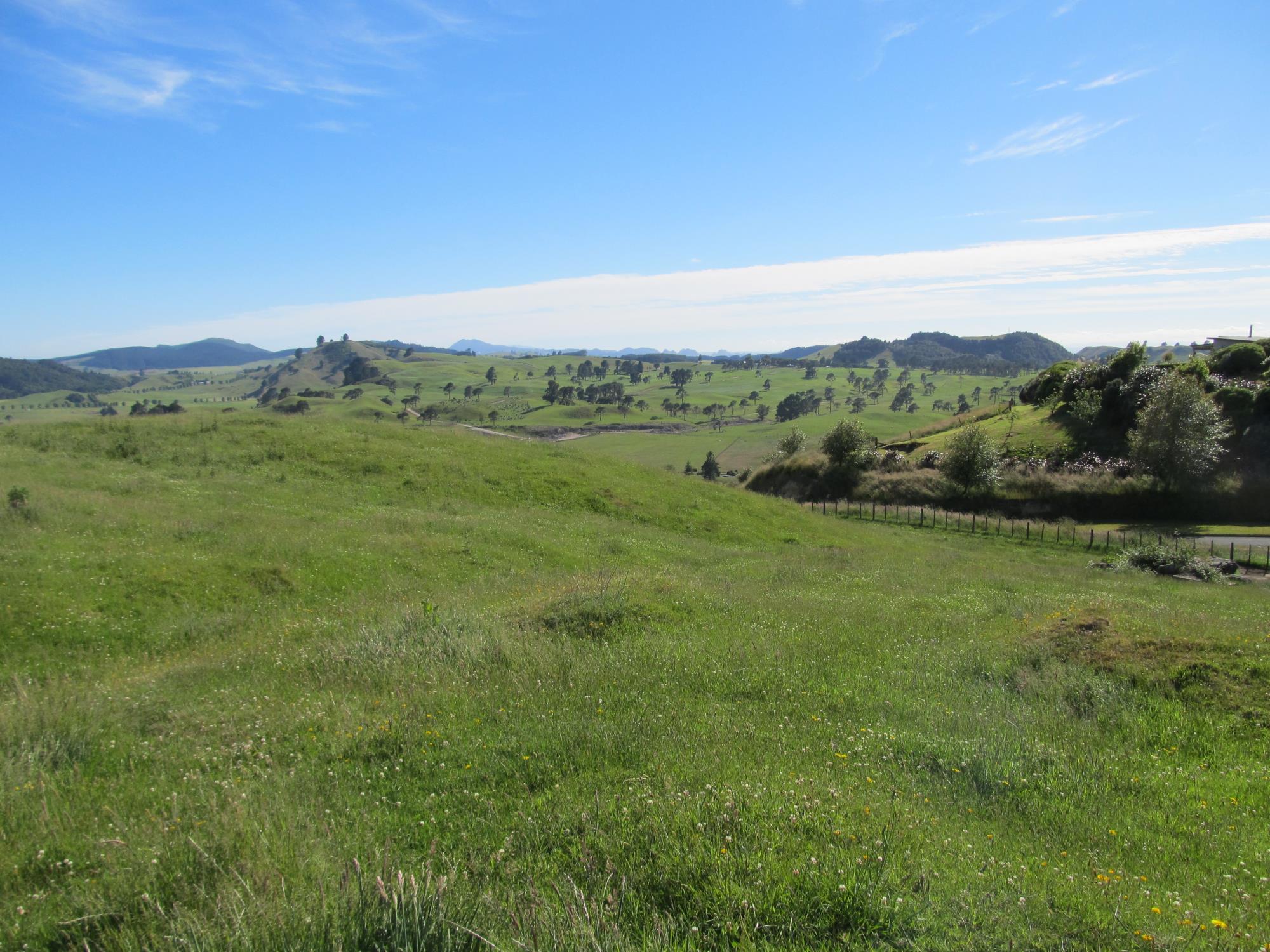 215 Forest Road, Oruanui, Taupo, 2 habitaciones, 0 baños