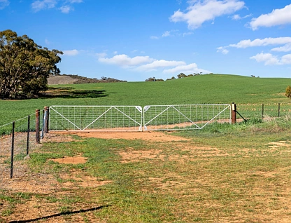 'Gum View Hills' Gorge Road, Pekina, Barossa - Yorke - Mid North, 0房, 0浴, Lifestyle Property