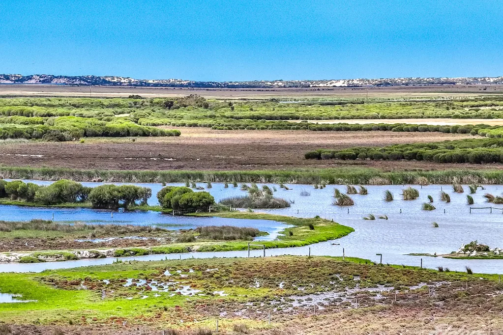 Hindmarsh Island Wetlands, Water Views & 3 Titles