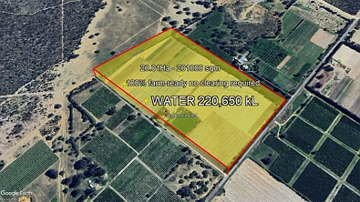 Neergabby  Turnkey Horticultural Powerhouse | 20Ha Fully Reticulated with 220,650kL Water License
