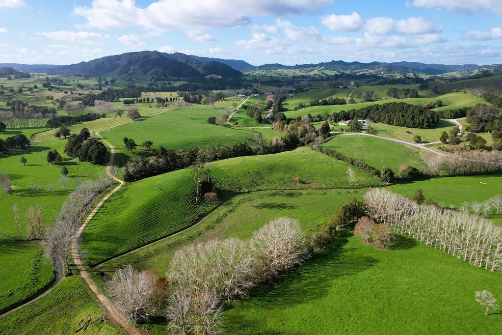 Mareretu  Great Beef, Dairy Grazing or Calf Rearing Opportunity