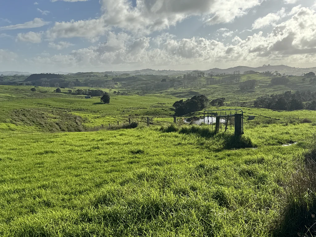 Maungaturoto Hill Road opportunity- 101 ha of easy contour