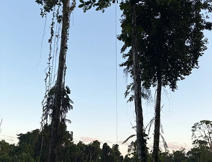 252 Jackson Road, Shell Pocket, QLD 4855, 0 habitaciones, 0 baños, Lifestyle Property