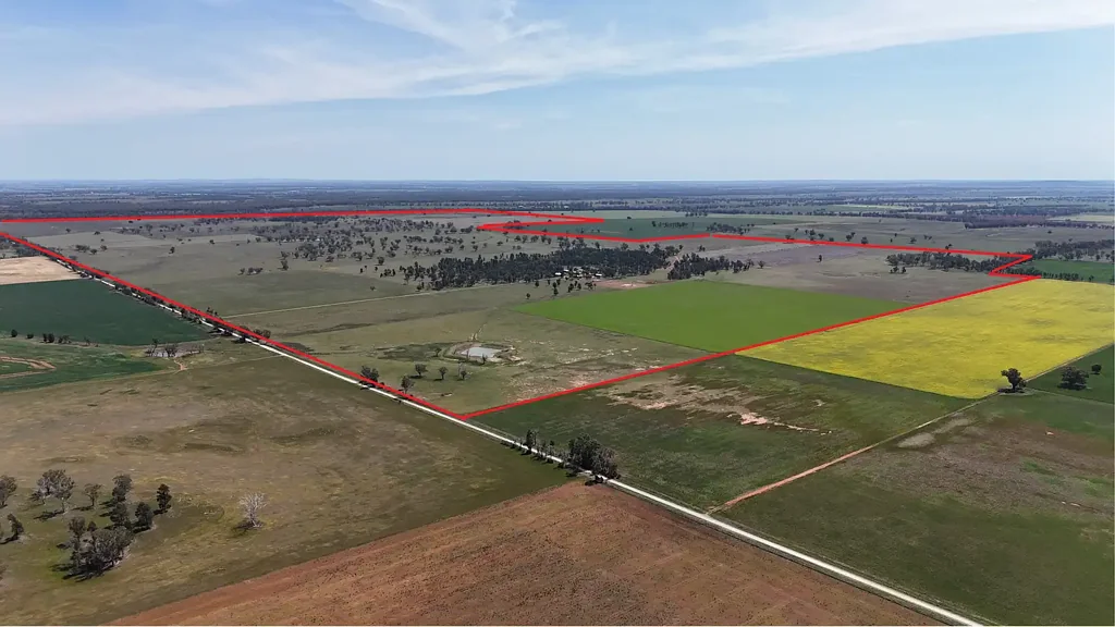 Parkes Premium Mixed Farming Property - 618Ha (1,527 Acres) Freehold - Central West NSW