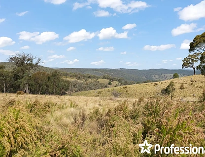 3469 Sofala Road, Wattle Flat, NSW 2795, 0房, 0浴, Lifestyle Property