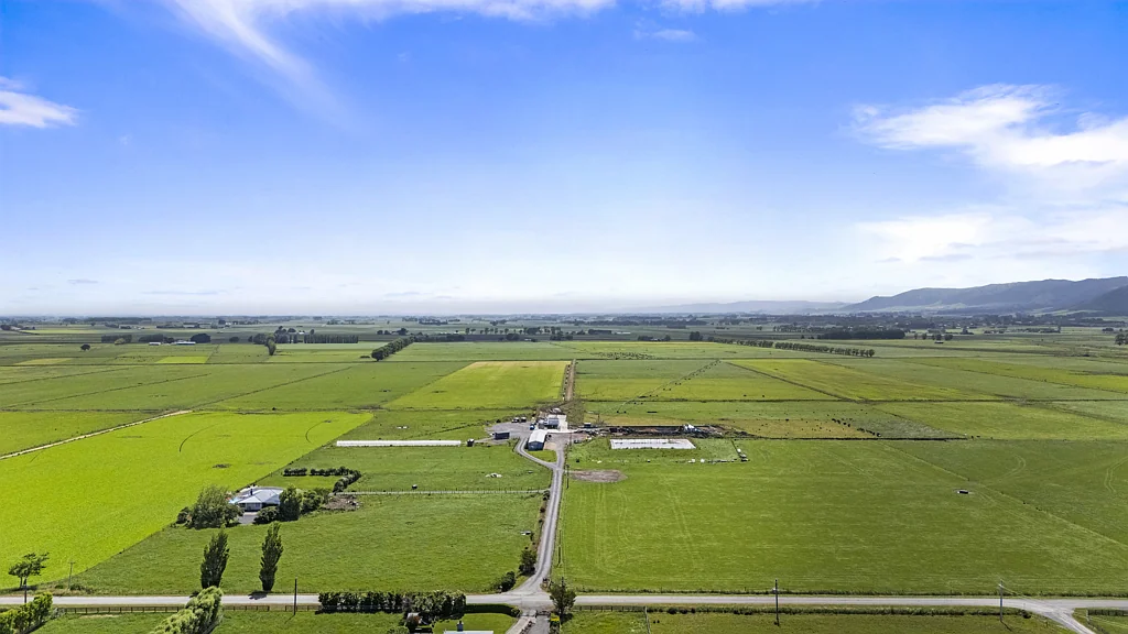 Opiki Blythe farm - Fertile dairy unit with scale