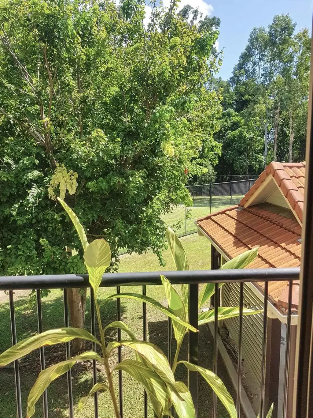 2506 Clifton Road, Clifton Beach, QLD 4879