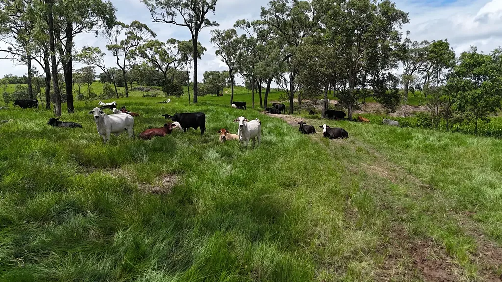 Ilbilbie Grazing & Lifestyle Holding with Ocean-to-Range Views