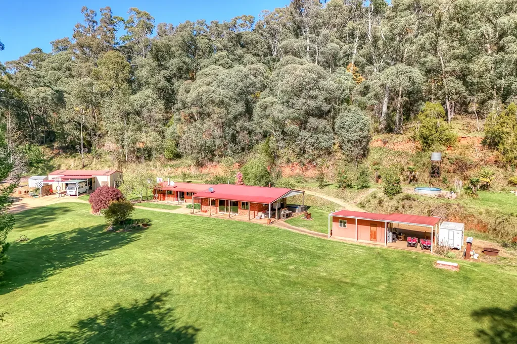 Bright Buckland Valley Hideaway: Your ticket to peace, serenity, space, and a lifestyle embraced by nature