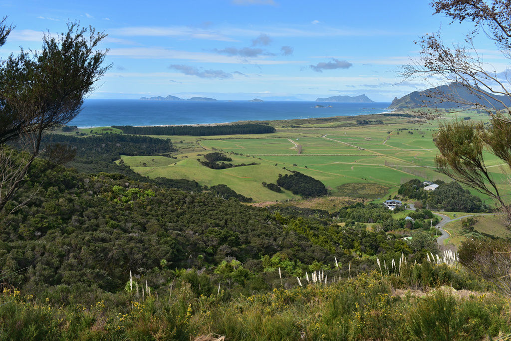 58 Rarangi Heights (Pvt), Parua Bay, Whangarei, 4 침실, 0 욕실