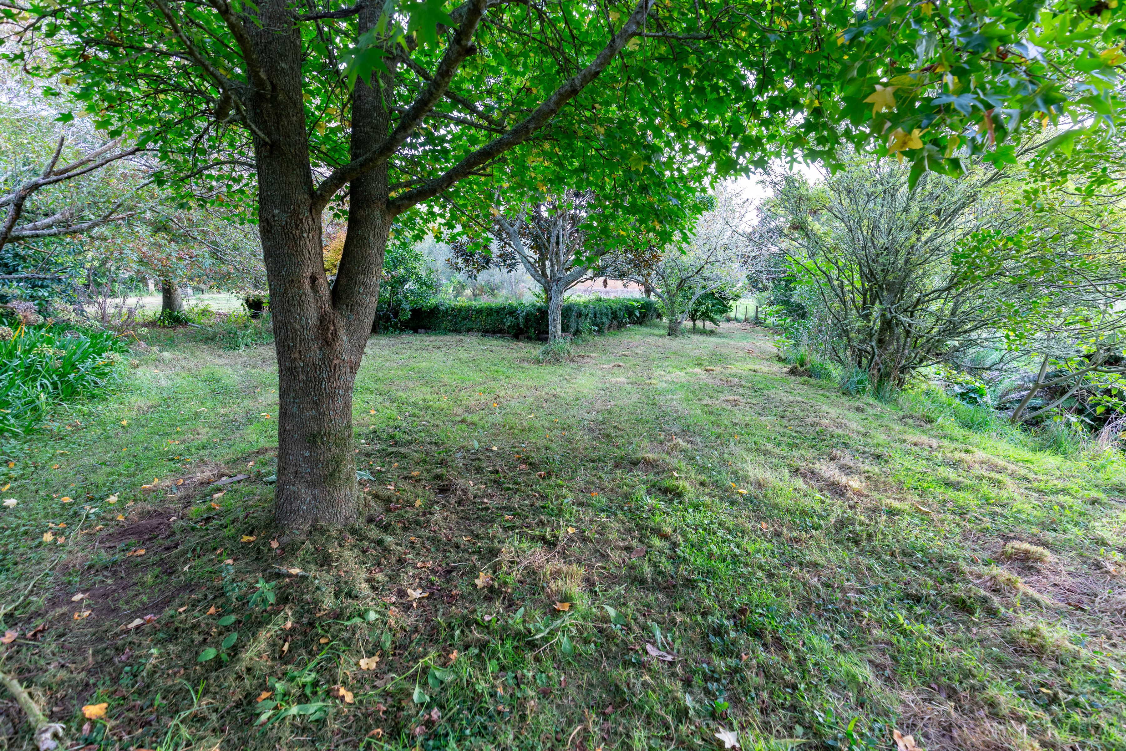 47 Pook Road, Buckland, Waikato, 0 rūma, 0 rūma horoi, Lifestyle Section