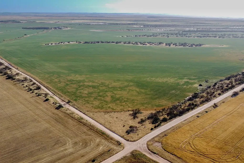 Rudall Continuous Cropping or Mixed Farming Options